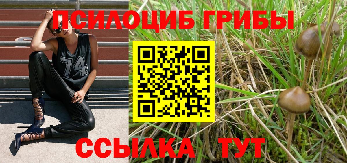 Галлюциногенные грибы прущие грибы  как найти закладки  Бирск  Вход с VPN 