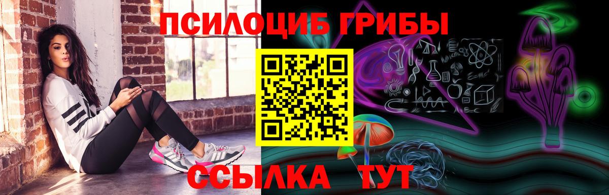 Галлюциногенные грибы Cubensis Бирск